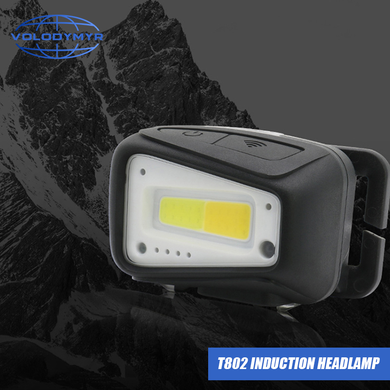 VOLODYMYR Waterproof COB LED H - Outdoor Lighting Motion Sensor 评论和价格